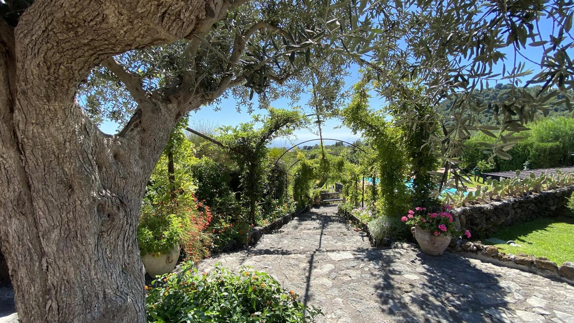 Il Palmento Dell'Etna Villa Trecastagni Ngoại thất bức ảnh