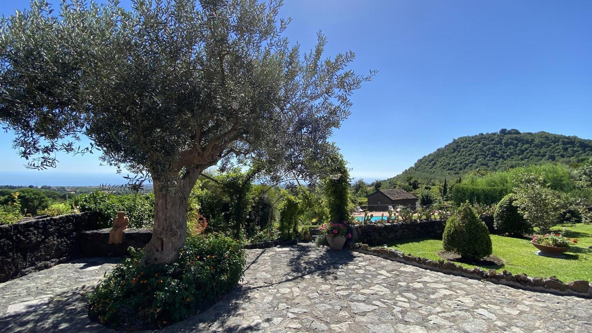 Il Palmento Dell'Etna Villa Trecastagni Ngoại thất bức ảnh